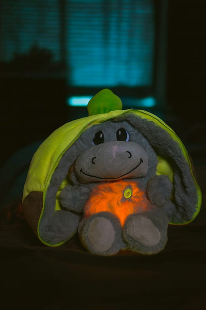 Benji el burrito sabanero